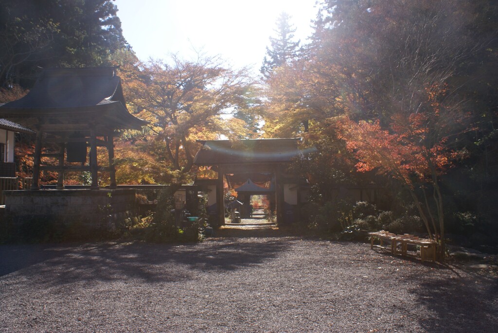 本堂前から