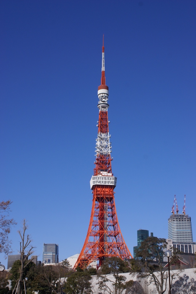 東京タワー