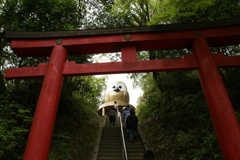 フクロウの神社