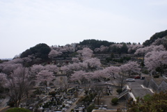 上から見下ろして