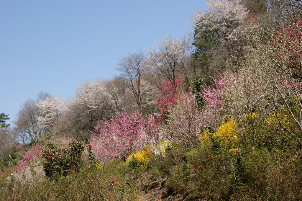 山の風景２