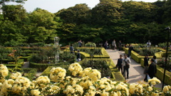 旧古河邸庭園３