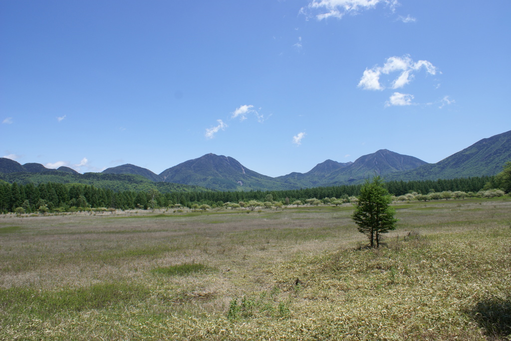 小田代が原