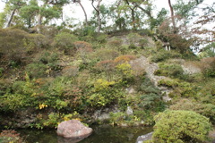 岩を使った庭園