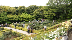 旧古河邸庭園１