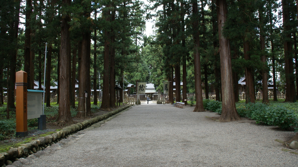 廟所前の杉木立