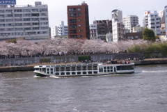 遊覧船と隅田公園