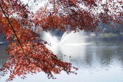 噴水と紅葉