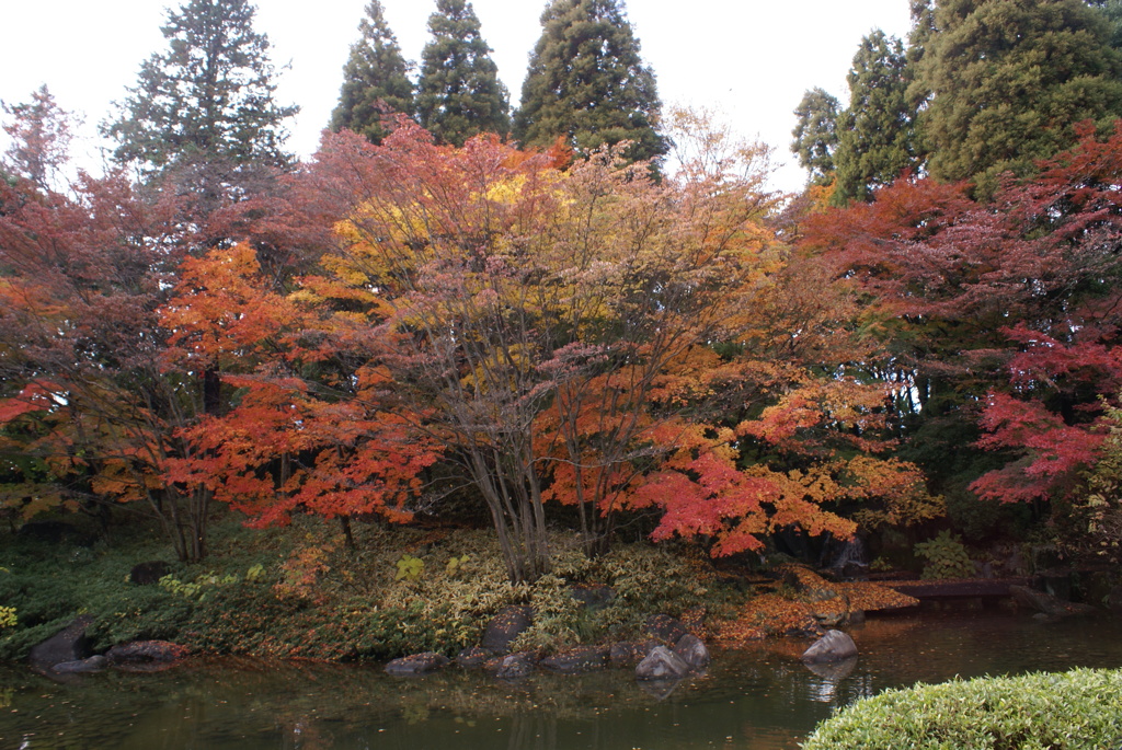 紅葉２