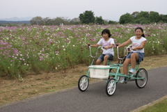 二人乗り自転車