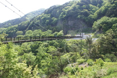 鬼怒川温泉　楯岩大吊橋全景