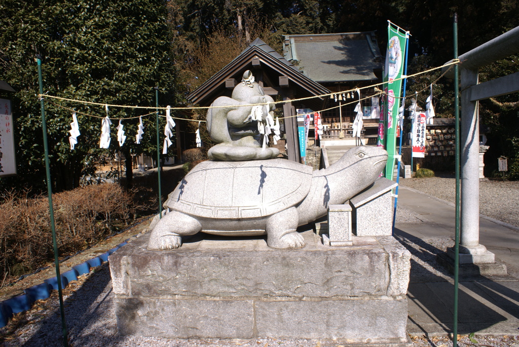 側面