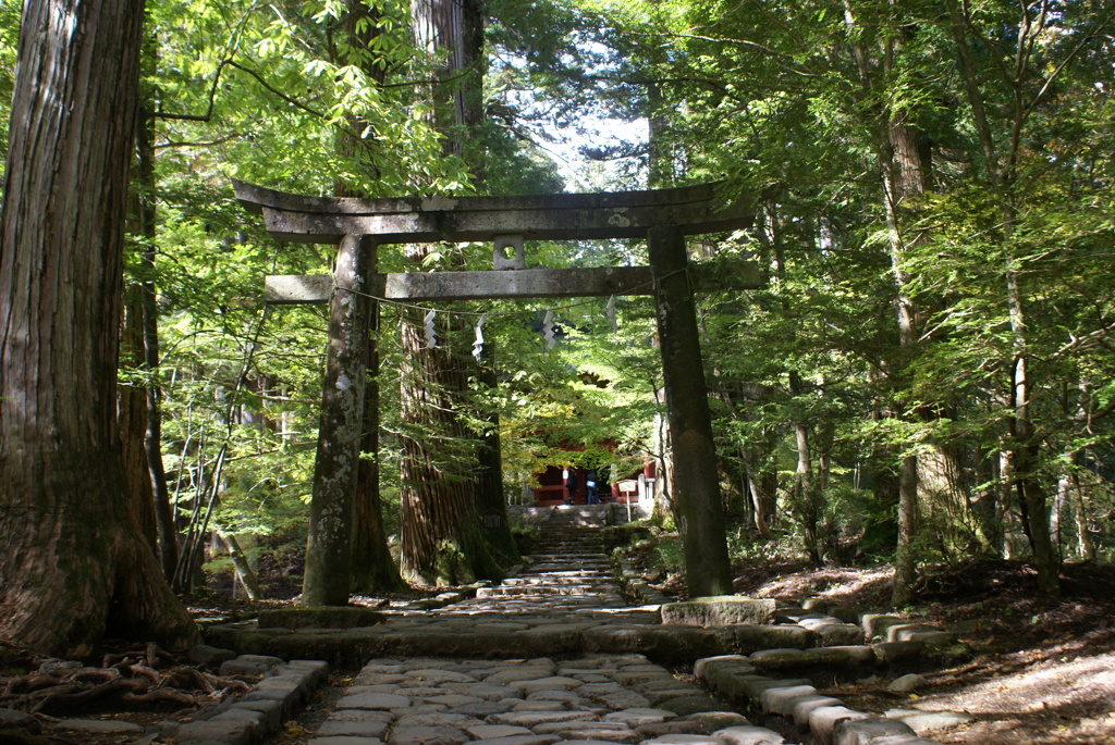 滝尾神社鳥居