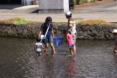 街中の湧水で遊ぶ親子