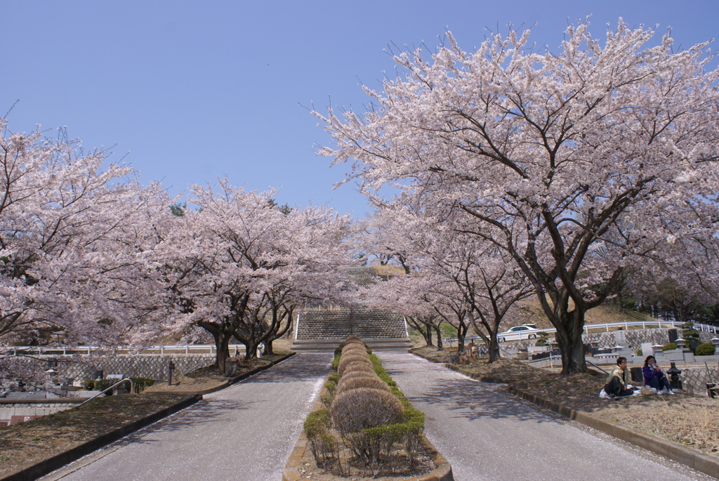 中央の遊歩道