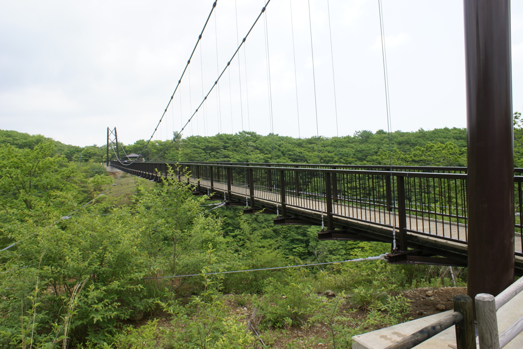 つつじ吊り橋