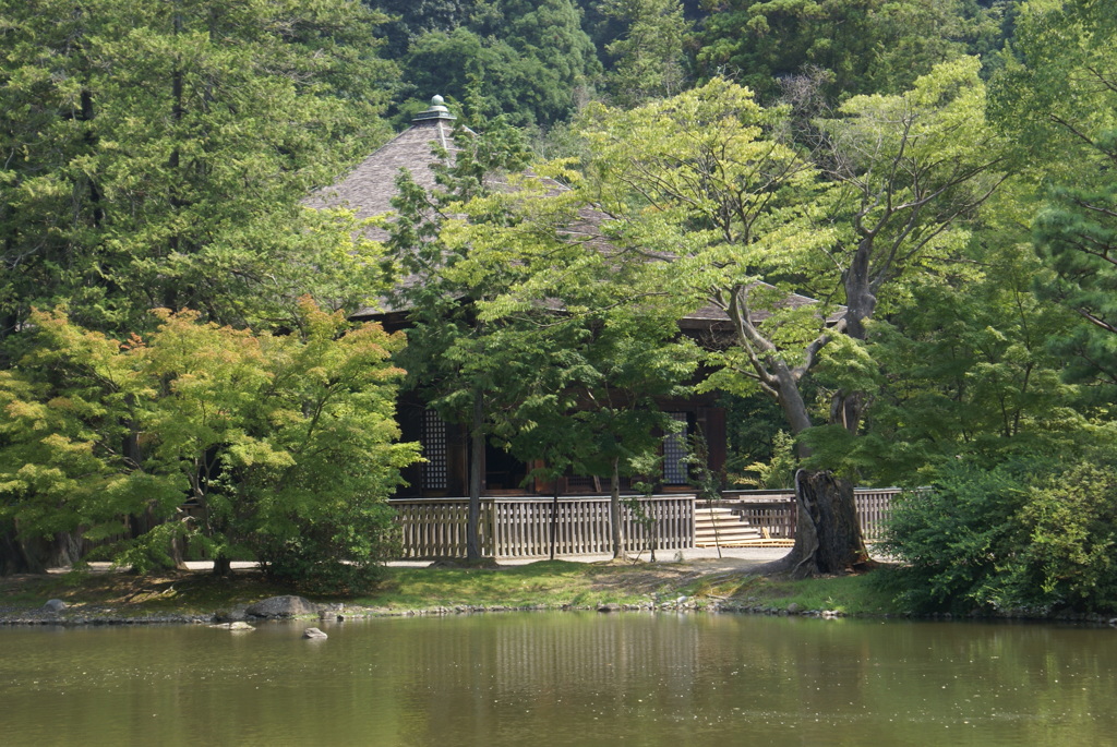 池越しの阿弥陀堂