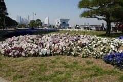 花壇