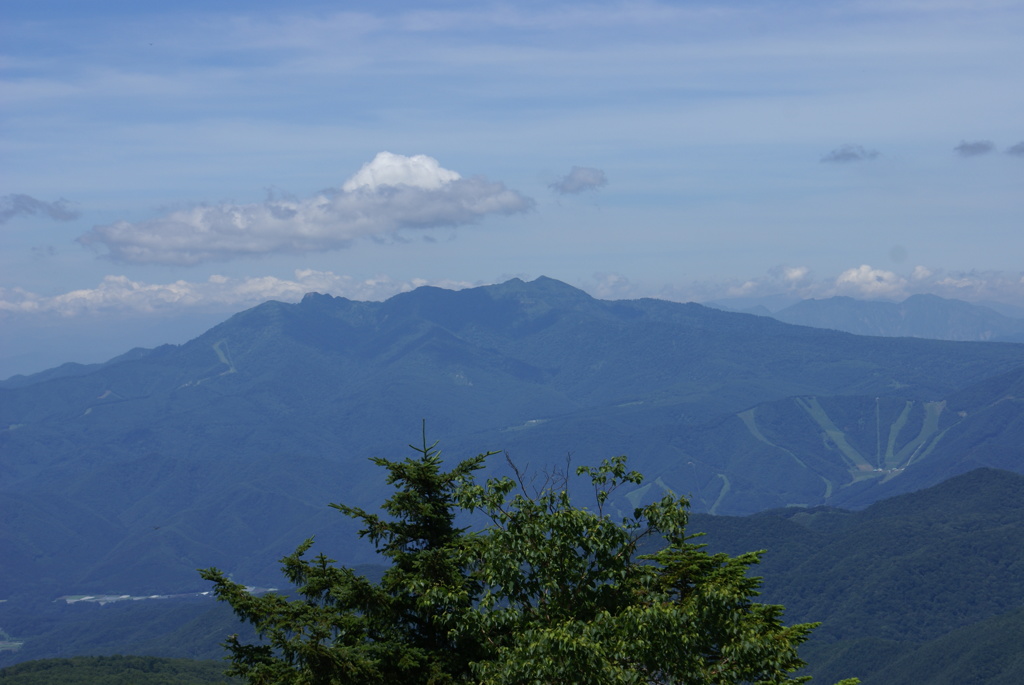 遠くの山