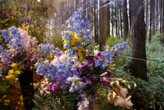 花フェスタ2011　作品１