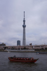 屋形船とスカイツリー