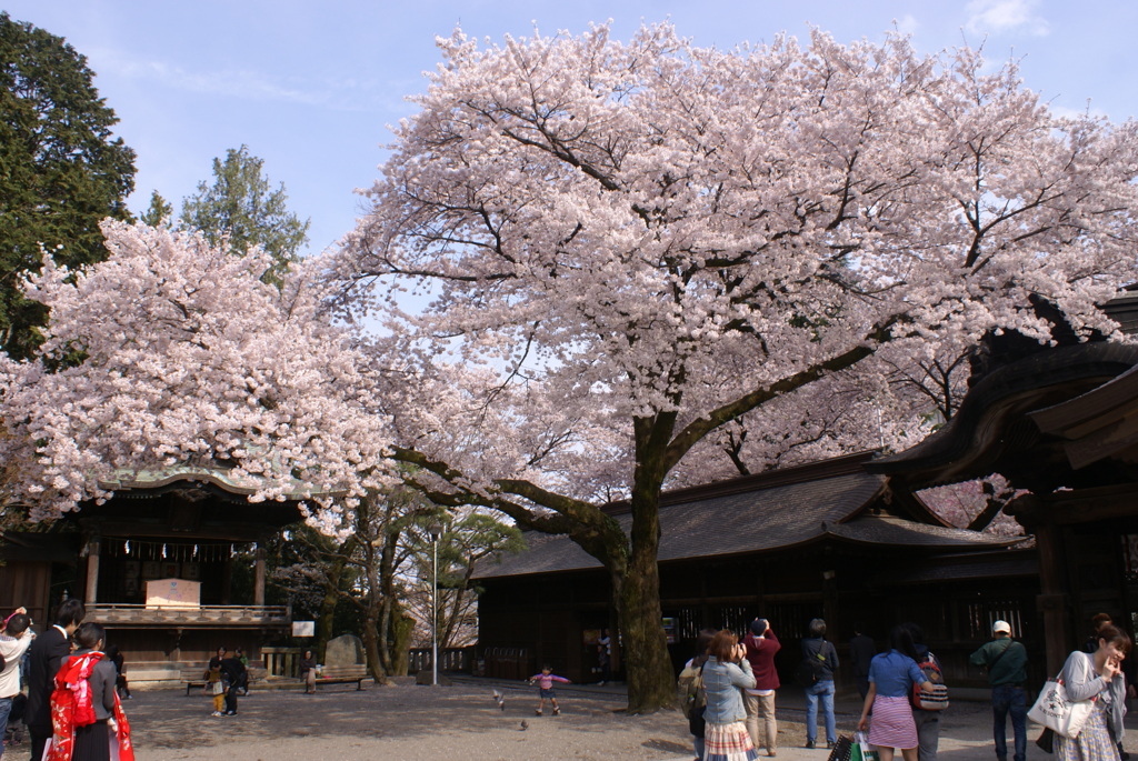 二荒山神社境内