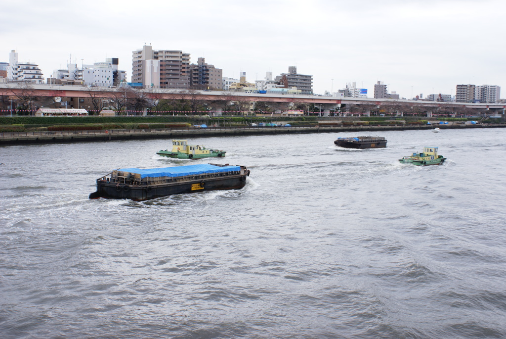隅田川の船隊