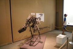 ラブトドンの骨格