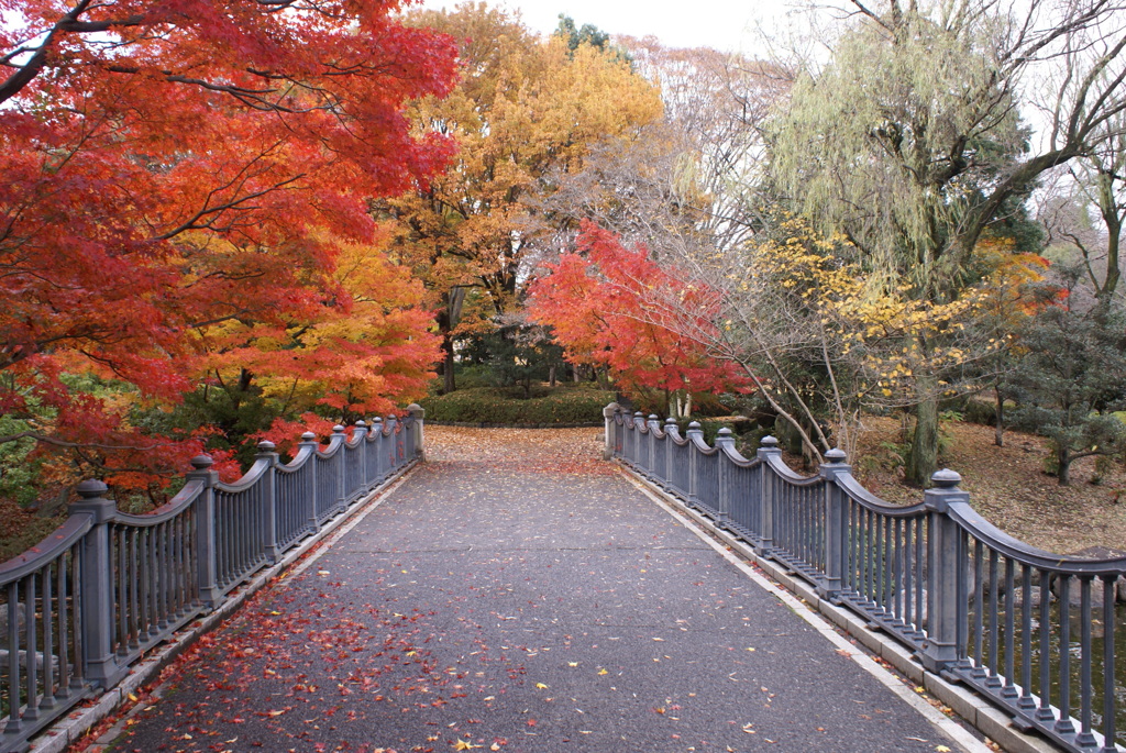 遊歩道２