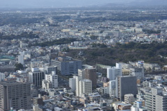 アクトタワーから見た浜松城