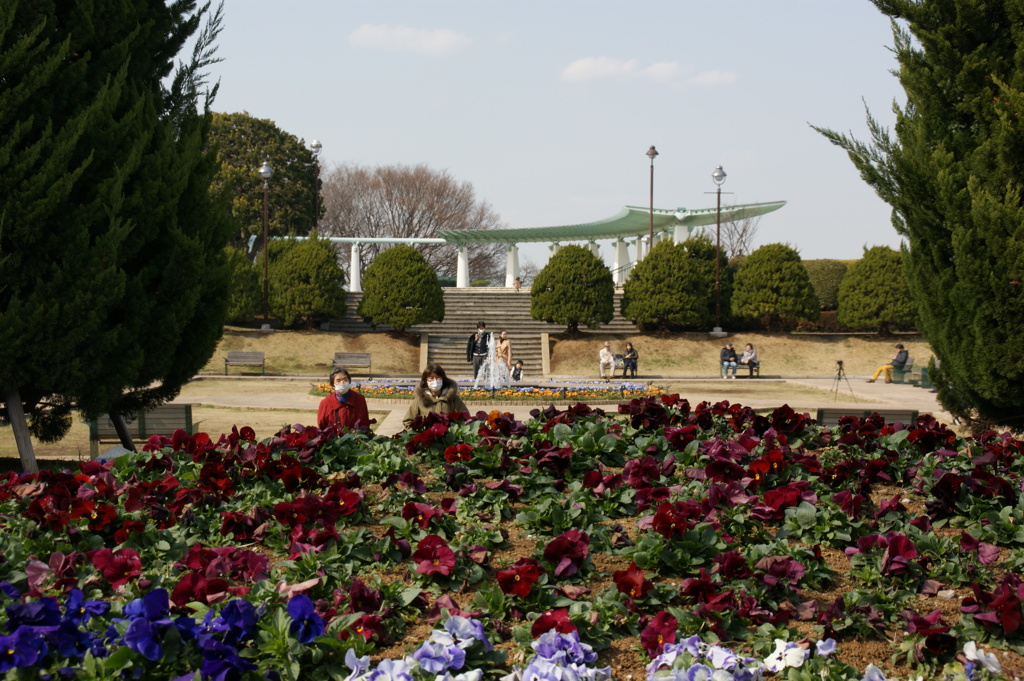 庭園と展望台