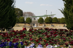 庭園と展望台