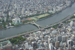 桜橋