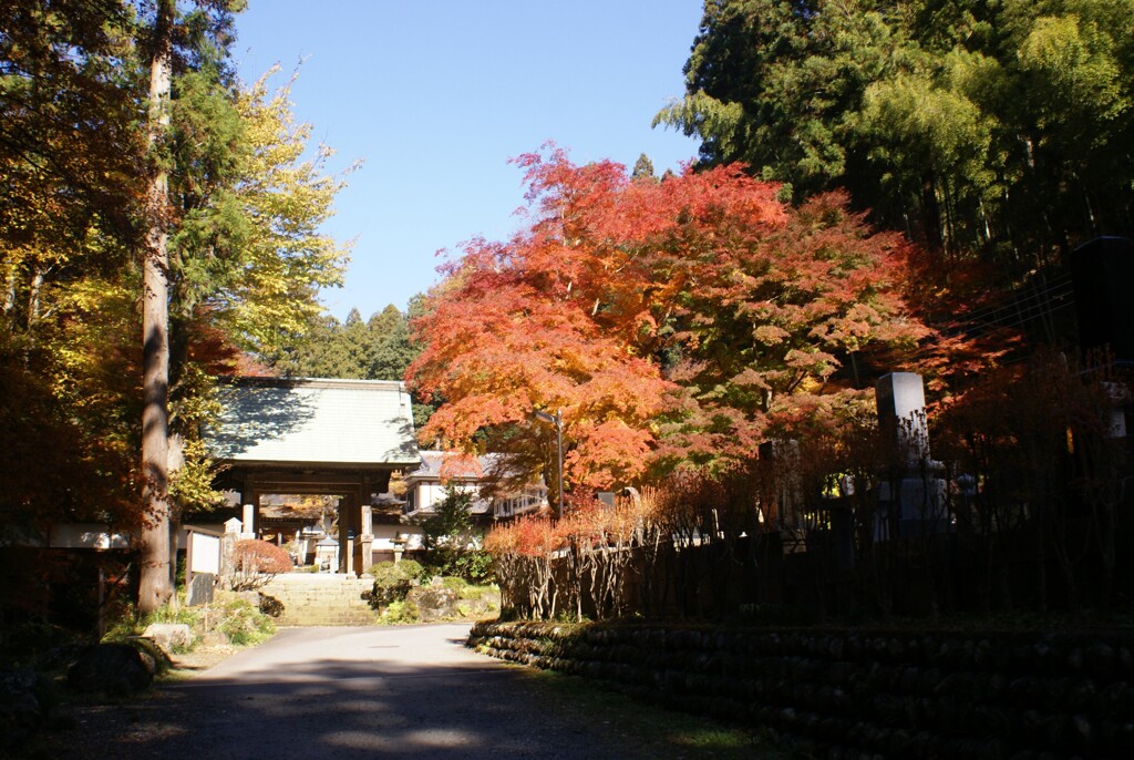 乾徳寺山門
