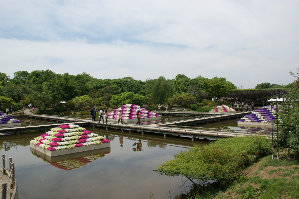 池