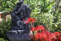 石仏と彼岸花