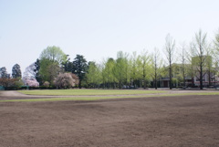 グランド２