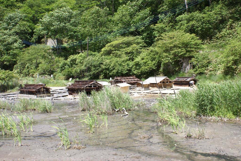 源泉の風景