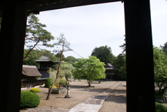 御影堂から見た境内