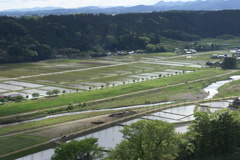 タワーからの眺め３