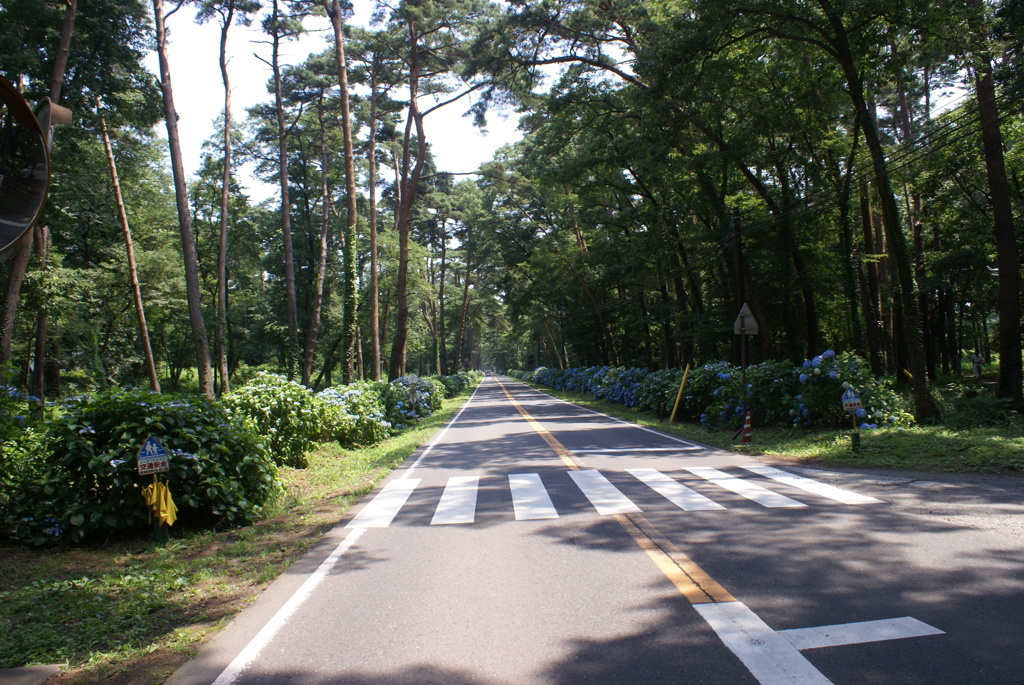 那須街道
