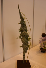 花フェスタ2011　作品２