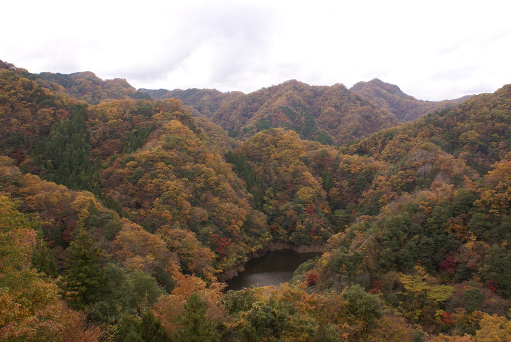 周囲の紅葉