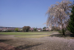 中央女子高 　グラウンド