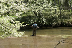 ズミの花と釣り人