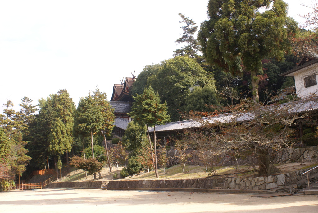 回廊と本殿の屋根
