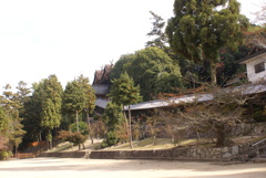 回廊と本殿の屋根