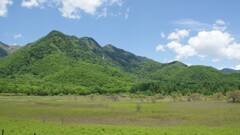 小田代ヶ原全景