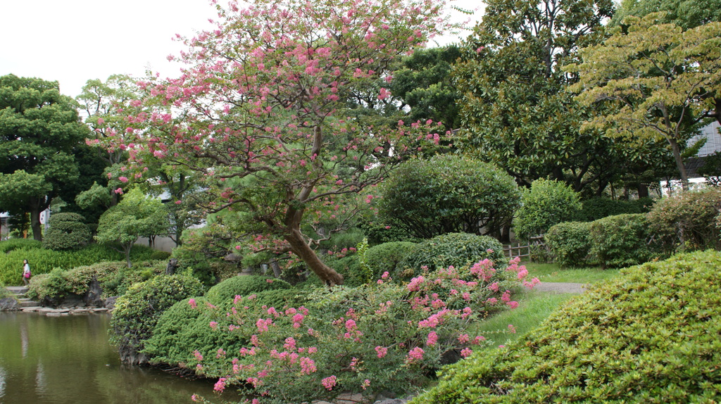 日本庭園２