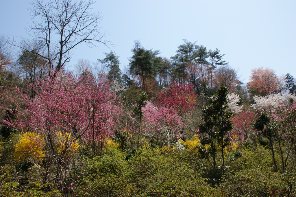 山の風景